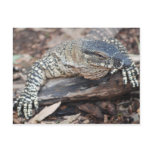 Perenti Post Card
