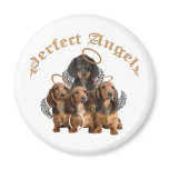 Perfect Angels Dachshunds Magnet