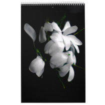 Perfect Blooms calendars