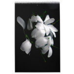Perfect Blooms Wall Calendars