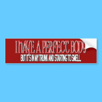 Perfect body bumper stickers by Dynomoose Perfect body bumper stickers