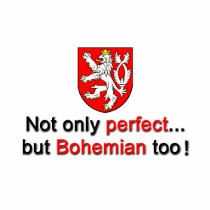 Perfect Bohemian t-shirts