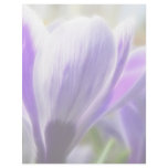 Perfect Crocus Flower Bloom Letterhead Template