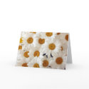 Perfect Daisies Greeting Cards by naturetees Perfect Daisies Greeting Cards