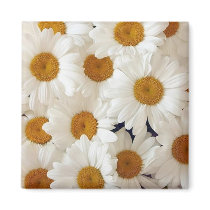 Perfect Daisies Magnets