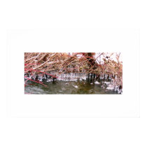 Perfect Design Frozen Naturally posters by Andreyln Perfect Design Frozen Naturally posters