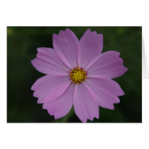 perfect flower cards