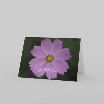 perfect flower thoughts cards by cardart perfect flower thoughts cards