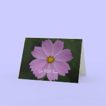 perfect flower thoughts cards by cardart perfect flower thoughts cards