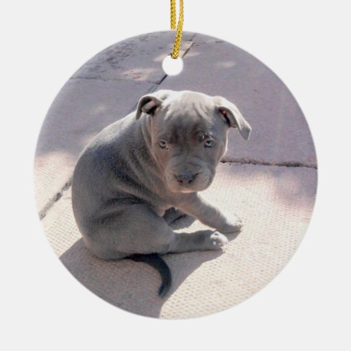 white staffordshire bull terrier ornament