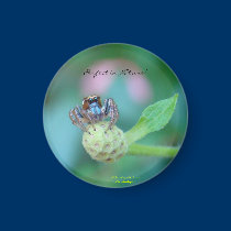 Perfect in Nature Award magnets