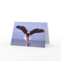 Perfect Landing Greeting Card by james_orear2 Perfect Landing Greeting Card