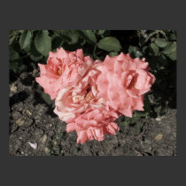 perfect love posters by HAJenkins perfect love posters