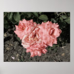 perfect love print