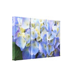 Perfect Moment l Hydrangeas Photography Gallery Wrap Canvas
