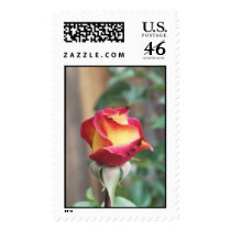 Perfect Moment postage by dmtena1 Perfect Moment postage