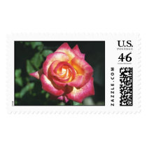 Perfect Moment postage by dmtena1 Perfect Moment postage
