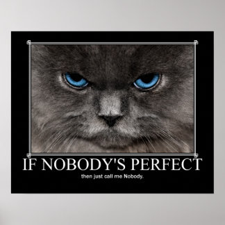 Funny Cat Posters & Prints