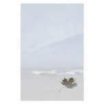 Perfect Pacific Stationery Design