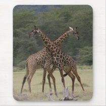 Perfect Partners - Mousepad