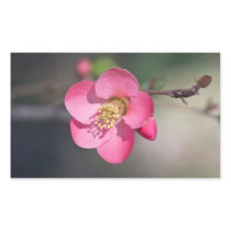 Perfect Pink Azalea Apparel, Gifts & Collectibles Stickers
