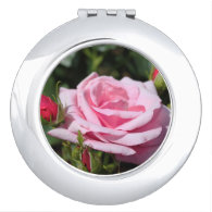 perfect pink rose flower and buds. love, freind vanity mirrors