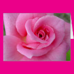 Perfect Pink Rose Greeting Cards