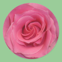 Perfect Pink Rose stickers