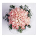 Perfect Pink Roses Posters and Prints by naturetees Perfect Pink Roses Posters and Prints