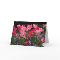 Perfect Pinks Notecard