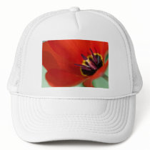 perfect play hats by blacqbook perfect play hats