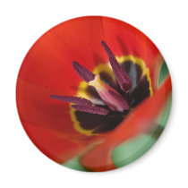 perfect play magnets by blacqbook perfect play magnets
