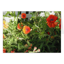 Perfect Poppies cards by lilyhydrangea Perfect Poppies cards