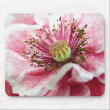Perfect Poppy Close Up Mousepad