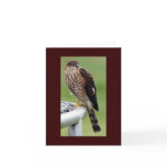 Perfect Profile cards
