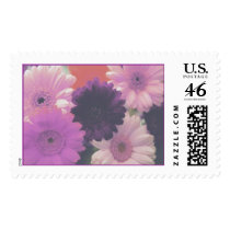 Perfect Purple Daisy Stamp
