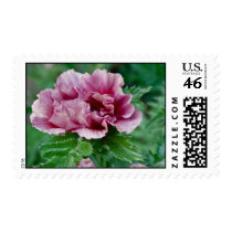 Perfect Purple Poppy Stamp