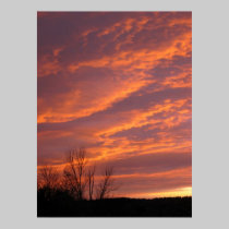 Perfect purple sunset posters