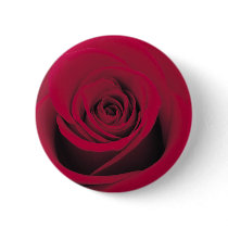 Perfect Red Rose Pinback Buttons
