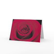 Perfect Red Rose Cards