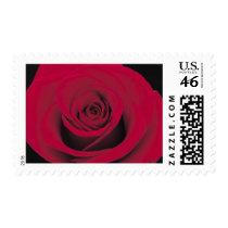 Perfect Red Rose Postage