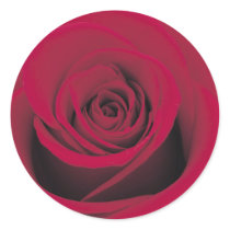 Perfect Red Rose Sticker