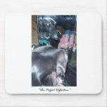 Perfect Reflection - Dog reflection of God Mouse Mats
