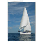 Perfect Sail  Greeting Card