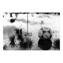 Perfect Soccer Day posters by jeffmanii Perfect Soccer Day posters