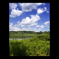 perfect summer day print posters