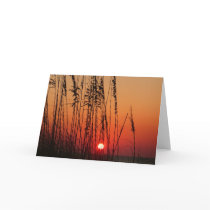Perfect Sunset cards