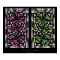 Perfect Symmetry posters