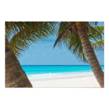 Perfect Tropical Paradise Beach Photograph