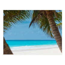 Perfect Tropical Paradise Beach Postcard